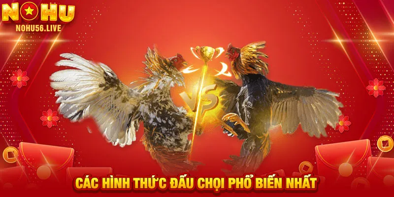 Các hình thức đấu chọi phổ biến nhất