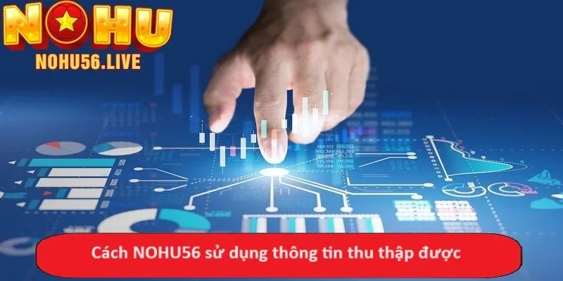 Cách NOHU56 sử dụng thông tin thu thập được