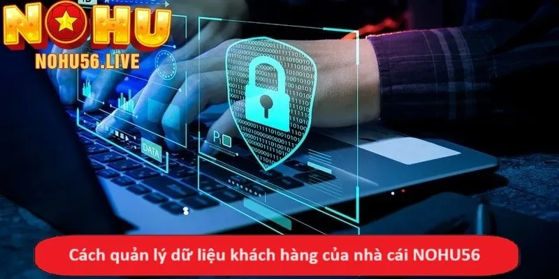 Cách quản lý dữ liệu khách hàng của nhà cái NOHU56