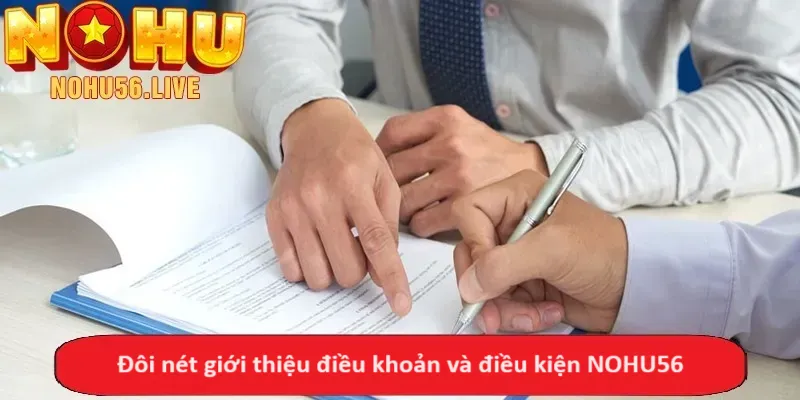 Đôi nét giới thiệu điều khoản và điều kiện NOHU56