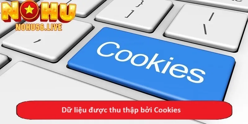 Dữ liệu được thu thập bởi Cookies