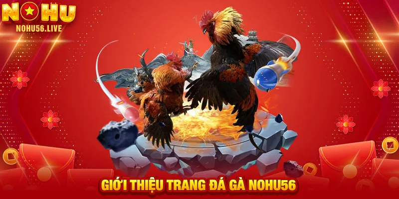 Giới thiệu trang đá gà NOHU56