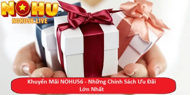 Khuyến Mãi NOHU56 - Những Chính Sách Ưu Đãi Lớn Nhất