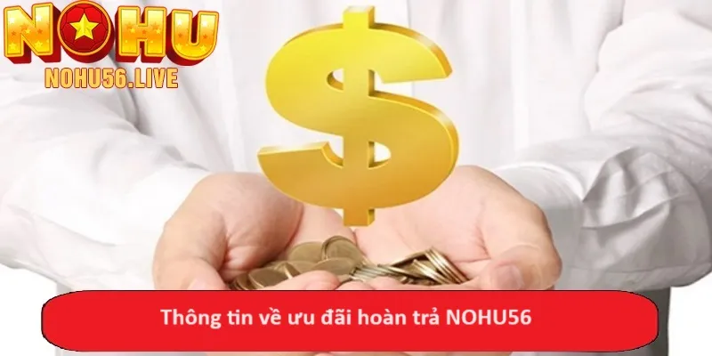 Thông tin về ưu đãi hoàn trả NOHU56