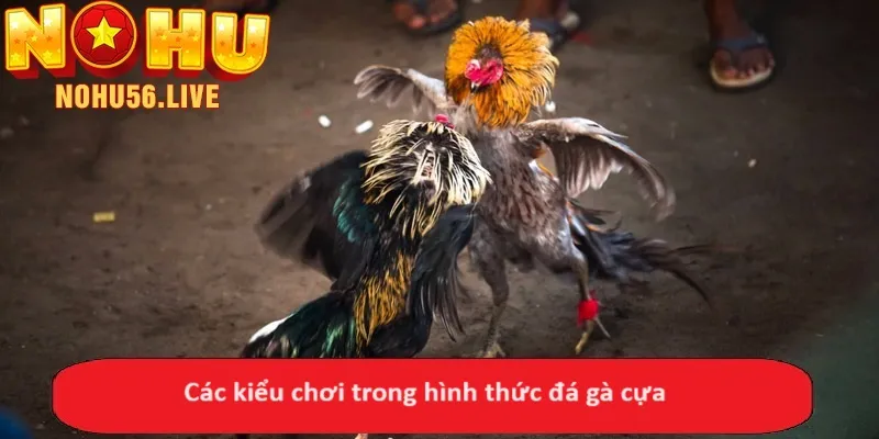 Các kiểu chơi trong hình thức đá gà cựa