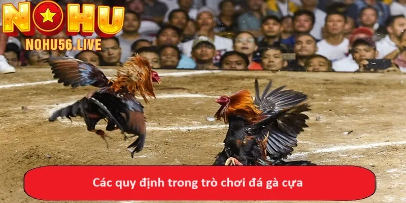 Các quy định trong trò chơi đá gà cựa