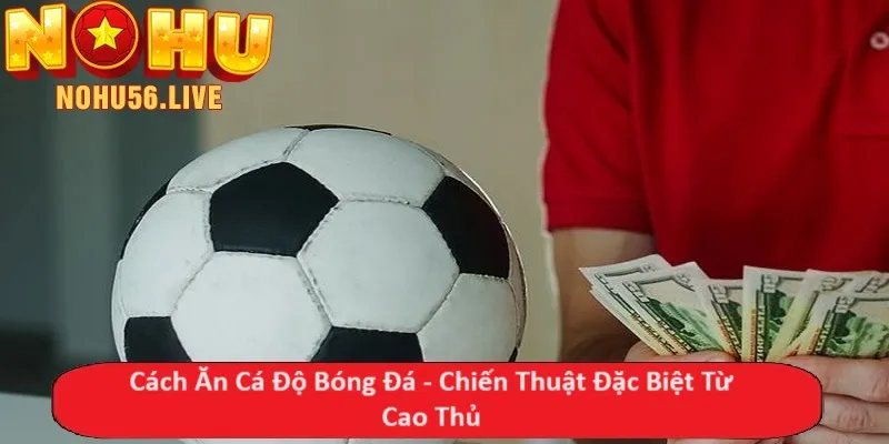 Cách Ăn Cá Độ Bóng Đá - Chiến Thuật Đặc Biệt Từ Cao Thủ