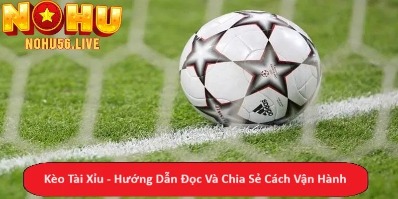 Kèo Tài Xỉu - Hướng Dẫn Đọc Và Chia Sẻ Cách Vận Hành