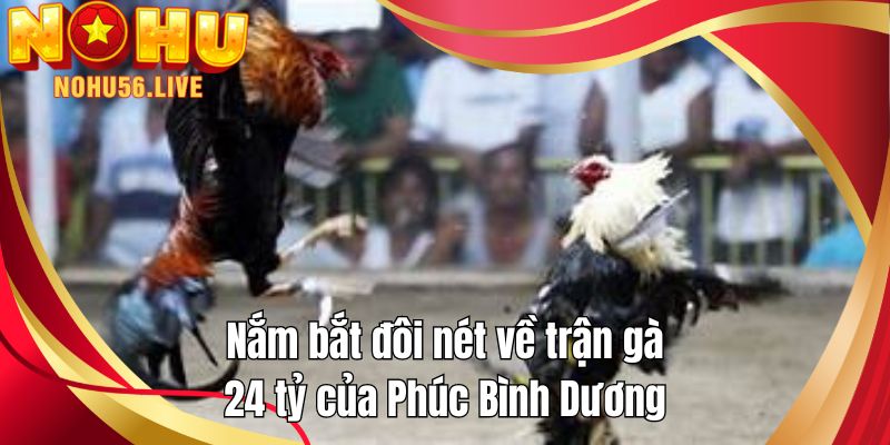 Nắm bắt đôi nét về trận gà 24 tỷ của Phúc Bình Dương