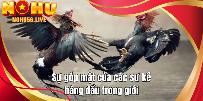 Sự góp mặt của các sư kê hàng đầu trong giới