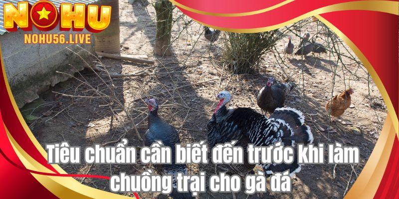 Tiêu chuẩn cần biết đến trước khi làm chuồng trại cho gà đá 