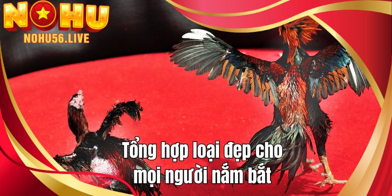 Tổng hợp loại đẹp cho mọi người nắm bắt