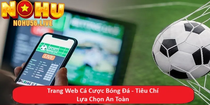 Trang Web Cá Cược Bóng Đá - Tiêu Chí Lựa Chọn An Toàn