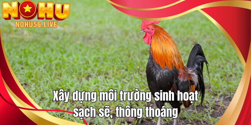 Xây dựng môi trường sinh hoạt sạch sẽ, thông thoáng