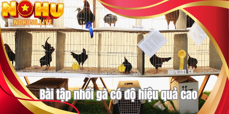 Bài tập nhồi gà có độ hiệu quả cao