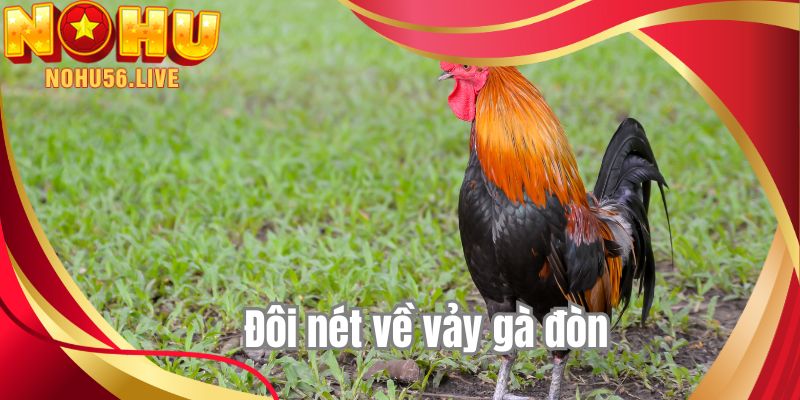 Đôi nét về vảy gà đòn 