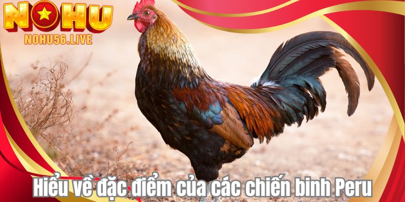 Hiểu về đặc điểm của các chiến binh Peru