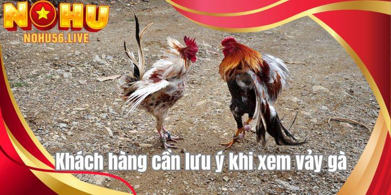 Khách hàng cần lưu ý khi xem vảy gà 