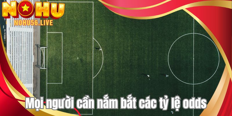 Mọi người cần nắm bắt các tỷ lệ odds