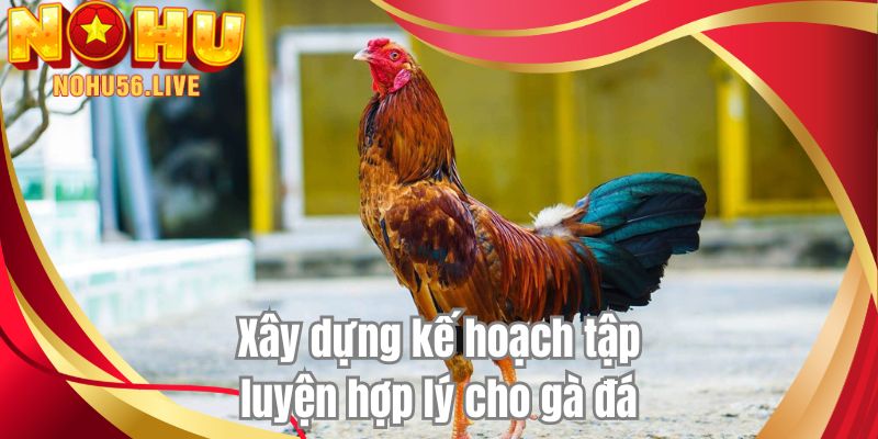 Xây dựng kế hoạch tập luyện hợp lý cho gà đá