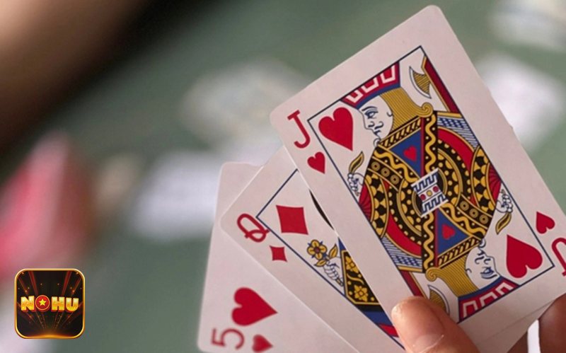 Giấy Phép Hoạt Động - Kiểm tra thông tin trên website